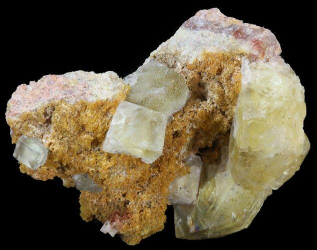 Lustrous, Yellow Cubic Fluorite Crystals - Morocco #44883